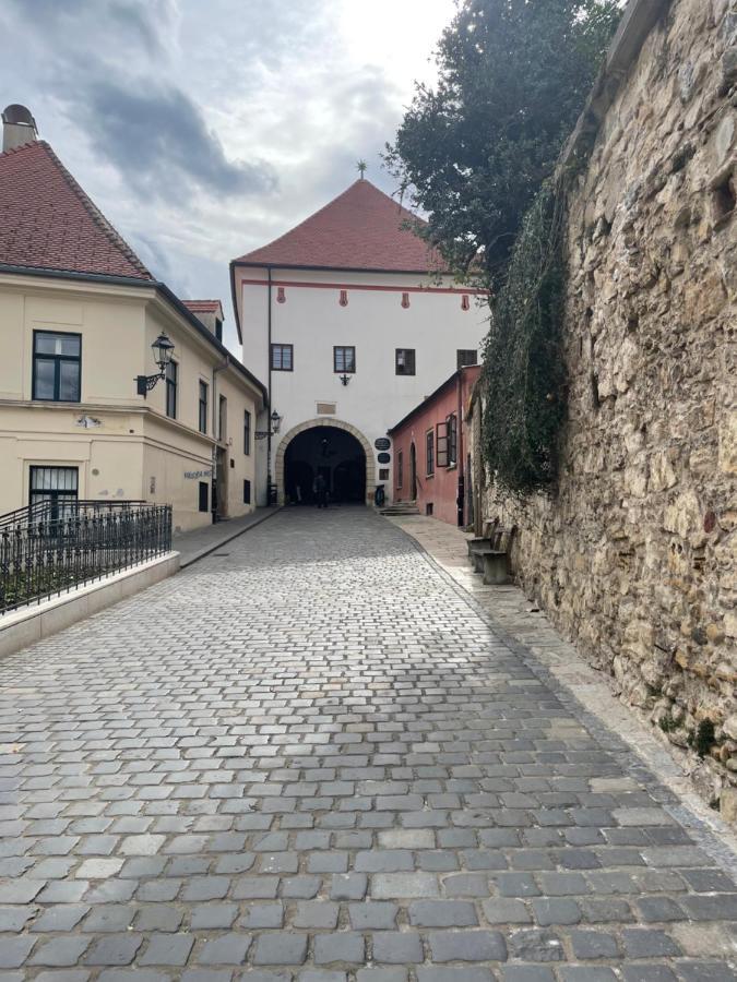 Grich Witch Apartment Zagreb Eksteriør billede