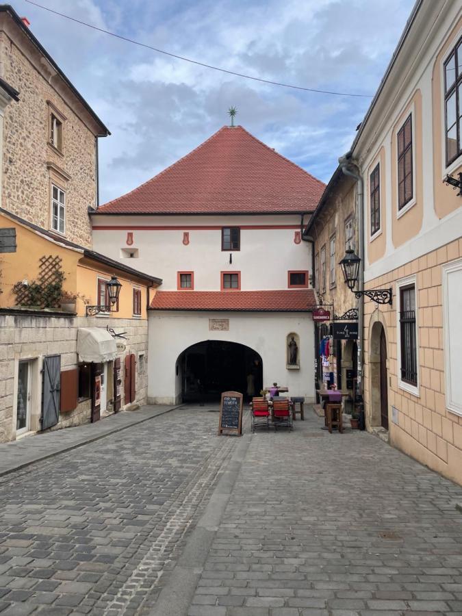 Grich Witch Apartment Zagreb Eksteriør billede